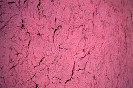 Abstrait;-Archipel-des-Comores;-Craquelures;-France;-Kaleidos;-Kaleidos-images;-La-parole-à-limage;-Laurent-Abad;-Mayotte;-Mur;-Océan-Indien;-Rose;-Stories-Pictures;-Terre;-Texture